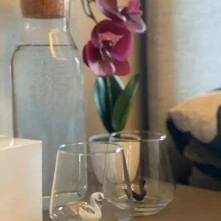 Homestay Double Incitycenter-15min Walk To Templebar Dublin